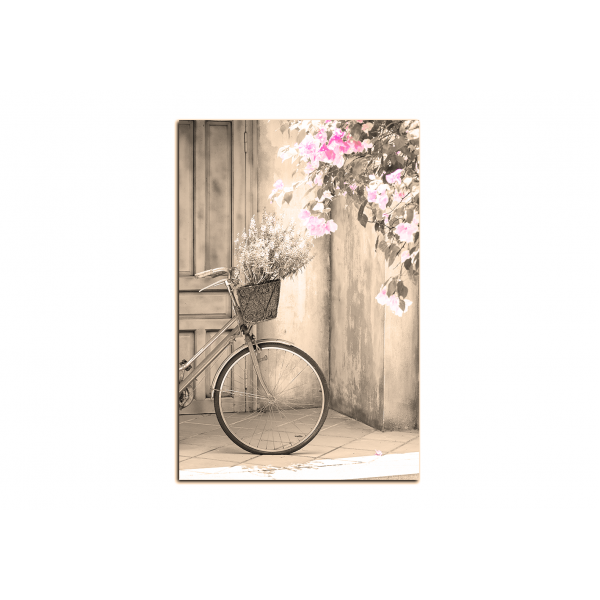 Obraz na plátně - Kolo s květinami - obdélník